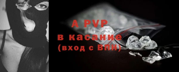 ГАЛЛЮЦИНОГЕННЫЕ ГРИБЫ Пересвет