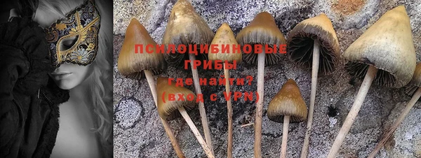 ГАЛЛЮЦИНОГЕННЫЕ ГРИБЫ Пересвет