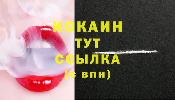 ГАЛЛЮЦИНОГЕННЫЕ ГРИБЫ Пересвет